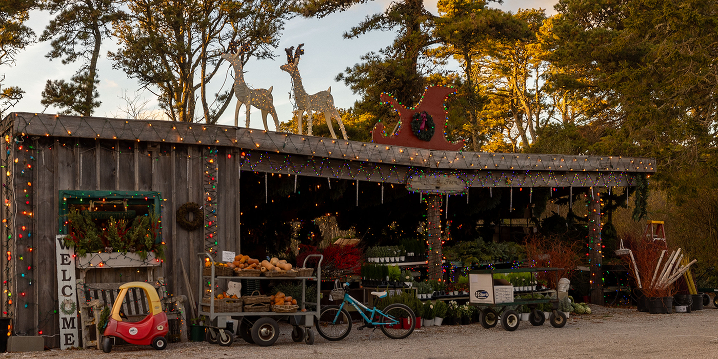 Great point properties is the leading Nantucket real estate firm specializing in Nantucket home sales and nantucket vacation rentals.