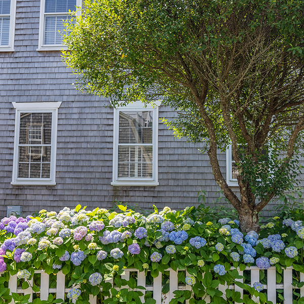 Approved Septic Installers