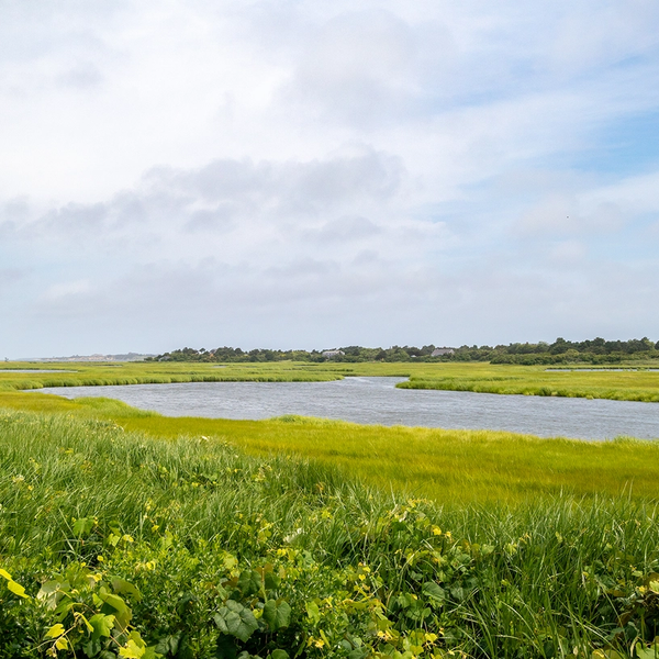 Properties in Shawkemo, Nantucket MA