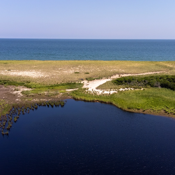 Properties in Squam, Nantucket MA