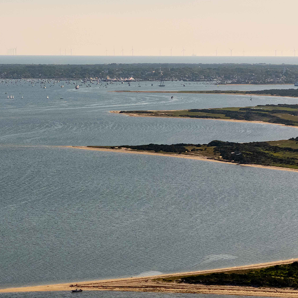 Conservation Commission